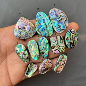 Op de afbeelding: Een verzameling van elf iriserende abalone schelp cabochons in verschillende vormen, waaronder ovaal, druppelvormig en rechthoekig. De schelpen tonen een reeks kleuren, zoals blauw, groen, paars en goud, met unieke patronen. De cabochons worden in een hand gehouden.