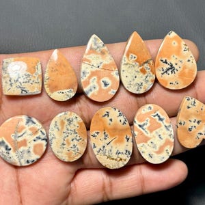 May include: A collection of polished gemstones in various shapes, including square, teardrop, oval, and heart. The stones feature a cream-colored base with orange and black patterns. The gemstones are held in a hand.