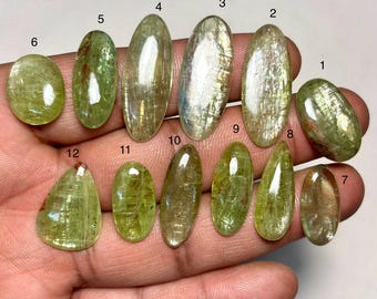 以下が含まれることがあります： さまざまな形と緑、黄、茶色の色合いの、研磨された12個の宝石のコレクション。 宝石は楕円形、涙滴型、不規則な形をしています。 石には1から12までの番号が付けられており、手の上に表示されています。