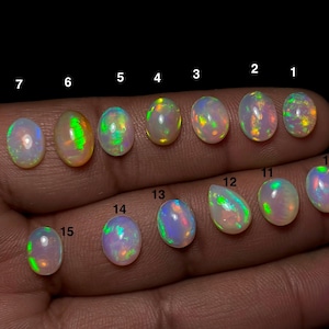 Op de afbeelding: Een verzameling van vijftien opalen, elk met een unieke vorm en iriserend kleurenspel. De edelstenen zijn genummerd van 1 tot 15. De opalen tonen een scala aan kleuren, waaronder groen, oranje en blauw, tegen een melkachtige witte basis.