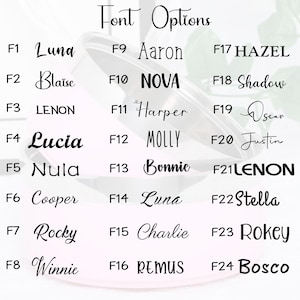 Personalisierte Edelstahl Fressnapf mit Name | Individuelle Fressnäpfe für Hunde und Katzen | Isoliertes Geschenk für Haustiere, ideal für kleine Hunde Katzen Bild 7