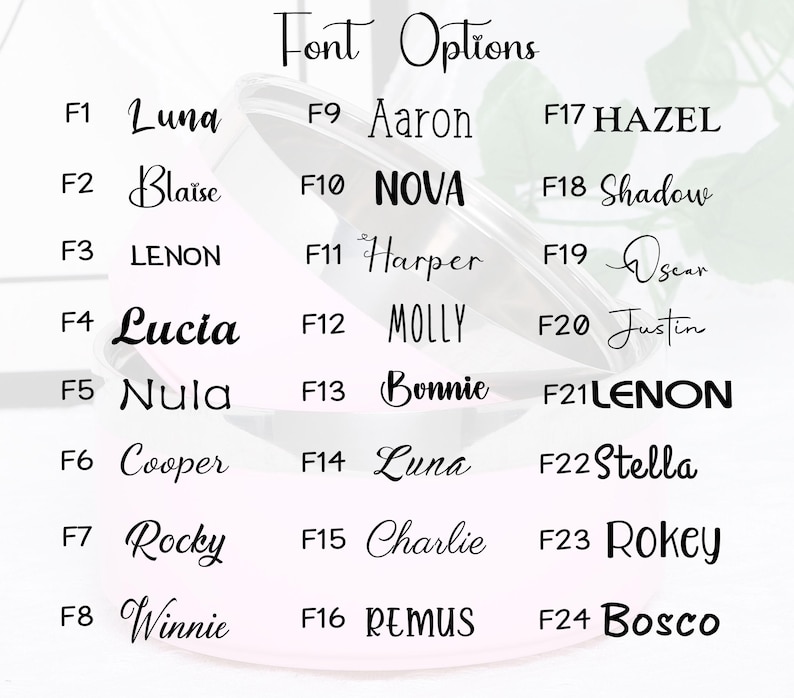 Personalisierte Edelstahl Fressnapf mit Name | Individuelle Fressnäpfe für Hunde und Katzen | Isoliertes Geschenk für Haustiere, ideal für kleine Hunde Katzen Bild 7