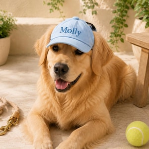 May include: A light blue baseball cap featuring the name Molly embroidered in dark blue thread on the front panel. The cap has a curved brim and an adjustable strap at the back, designed to fit comfortably on the head of a golden retriever dog.