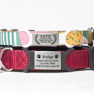 May include: Two dog collars with personalized metal tags. The top collar is green, pink, and yellow with a white buckle. The tag reads "KATIE Oh shit, I'm lost Please call my mom 720-352-7902". The bottom collar is red with a black buckle. The tag reads "Bridge Please call my mom: 123-456-7899 6708 Orchard Lake Rd."