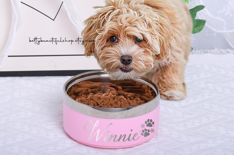 K&ouml;nnte beinhalten: Rosa personalisierter Edelstahl-Hundenapf mit dem Namen Winnie und Pfotenabdr&uuml;cken. Die Sch&uuml;ssel ist mit Hundefutter gef&uuml;llt und ein kleiner Hund schaut in die Sch&uuml;ssel.