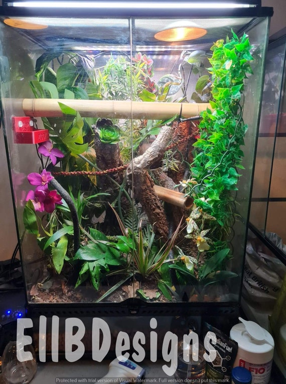 Gecko vivarium accessories cheap