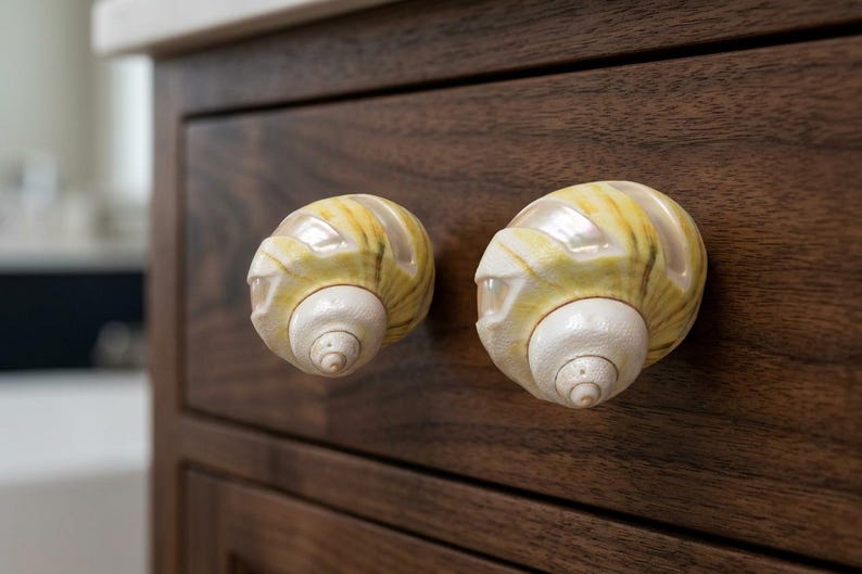 May include: Two cabinet knobs shaped like spiral seashells attached to a dark brown wooden drawer. The knobs feature a pearlescent white center with yellow and tan striped patterns along the outer whorls of the shell structure.