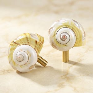Puede incluir: Dos pomos para armarios con conchas marinas en espiral naturales como elemento decorativo principal. Cada concha muestra una paleta de colores blanco y amarillo pálido con acentos marrones, unida a una base metálica cilíndrica de tono latón.