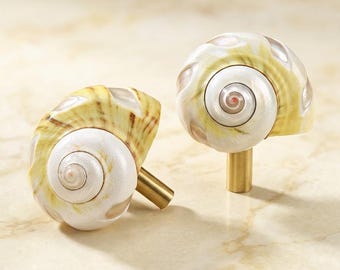 Windmill Conch knobs and Pulls/Drawer Knobs/Modern Cabinet Pulls/Wardrobe Kitchen Handles/Nursery room decor knobs/Door Closet Handles