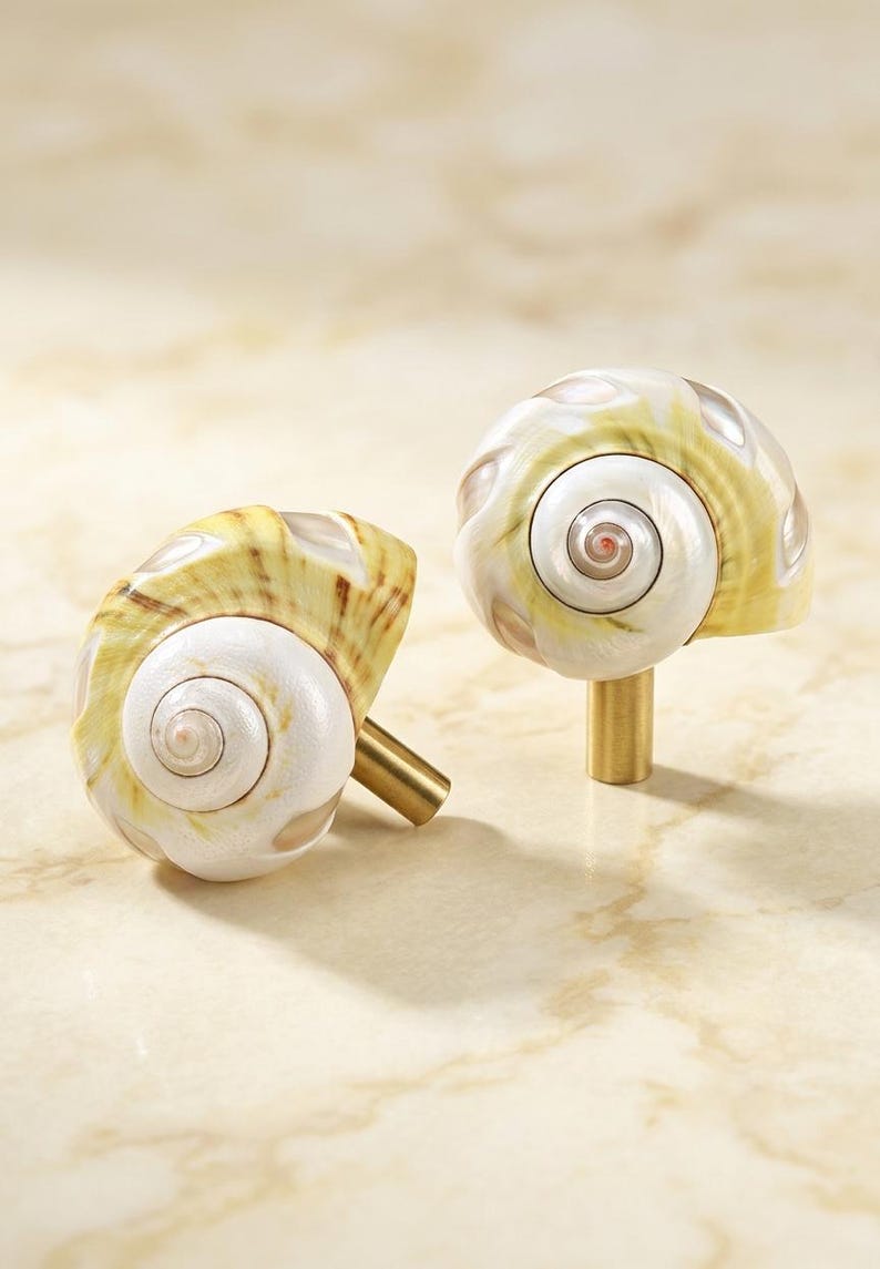 May include: Two cabinet knobs featuring natural spiral seashells as the primary decorative element. Each shell displays a white and pale yellow color palette with brown accents, attached to a cylindrical brass-toned metal base for mounting.