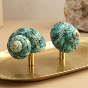 Puede incluir: Dos pomos para armarios con caracolas naturales en espiral en tonos verde azulado y verde con marcas de color marrón oscuro. Cada concha está montada sobre una base cilíndrica de metal dorado cepillado para muebles.