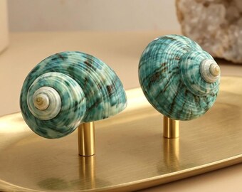 Cyan Conch knobs and Pulls/Modern Cabinet Pulls/Wardrobe Kitchen Handles/Nursery room decor knobs/Door Closet Handles/Drawer Knobs