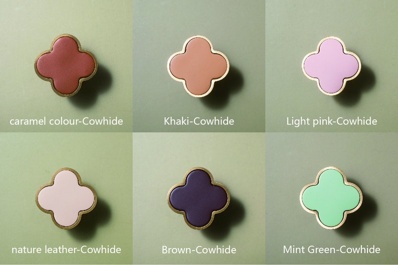 Clover brass knobs and Pulls/Nature shell Drawer Knobs/ Cowhide Clove Cabinet Pulls/Wardrobe Pull/offices Knob /cafes Knob /restaurant Knob image 3