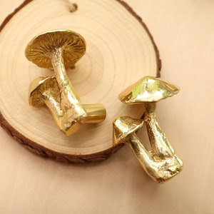 Boutons en laiton de champignon et tirettes / boutons de tiroir de champignons végétaux / tractions d’armoire / traction de armoire / bouton de bureau / bouton de cuisine / boutons de commode