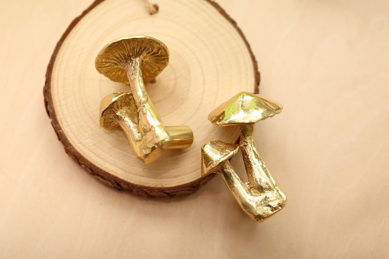 Mushroom brass knobs and Pulls/Plant mushroom Drawer Knobs/Cabinet Pulls/Wardrobe Pull /Desk Knob /kitchen Knob/Dresser knobs image 1