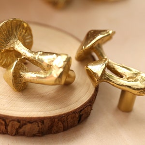 Mushroom brass knobs and Pulls/Plant mushroom Drawer Knobs/Cabinet Pulls/Wardrobe Pull /Desk Knob /kitchen Knob/Dresser knobs image 2