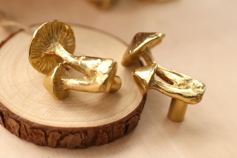 Mushroom brass knobs and Pulls/Plant mushroom Drawer Knobs/Cabinet Pulls/Wardrobe Pull /Desk Knob /kitchen Knob/Dresser knobs image 2