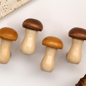 May include: Four small wooden mushroom-shaped knobs with smooth, polished surfaces. Two mushrooms feature light tan caps, while the other two have darker brown caps. Each piece has a pale, cylindrical stem that tapers slightly toward the center.