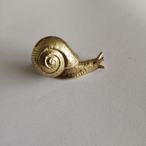 Snails brass knobs and Pulls/Drawer Knobs/Cabinet Pulls/Wardrobe Pull /offices Knob /cafes Knob /restaurant Knob image 6
