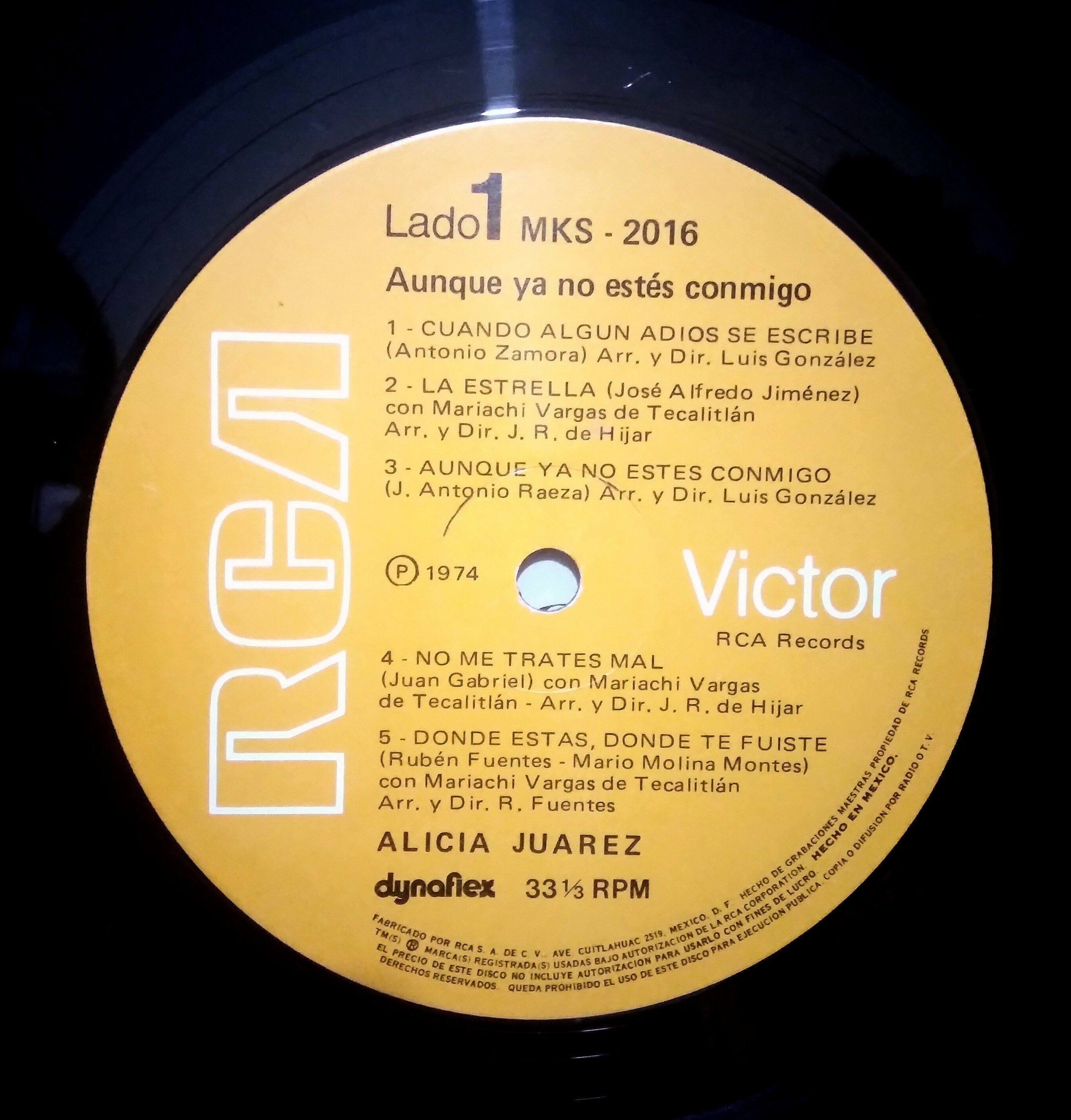 Alicia Juarez Vinyl Although You Are No Longer With Me - Etsy Finland