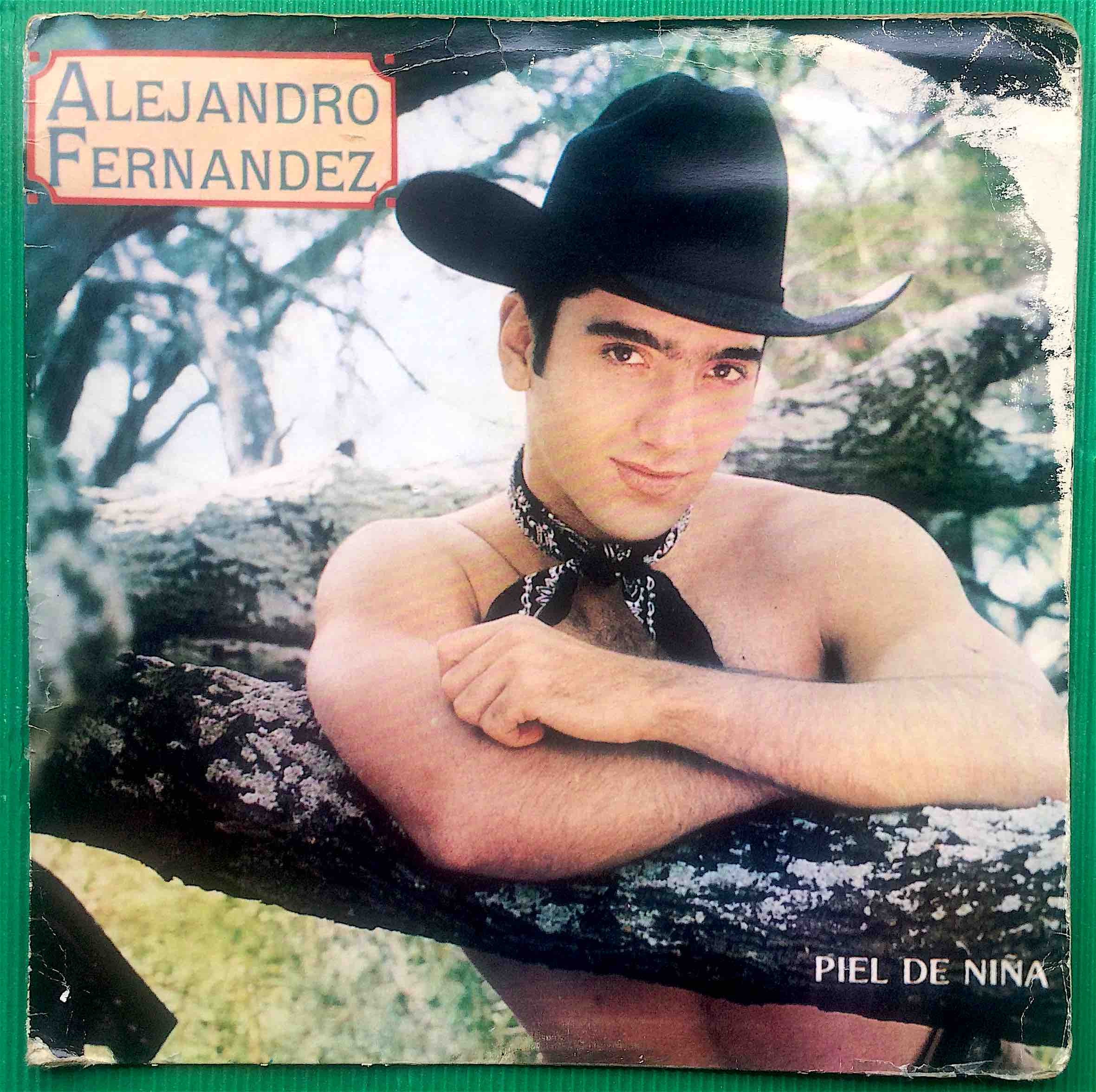 Alejandro Fernández Vinyl Skin Girl Original Lp Disco 1993 - Etsy Canada