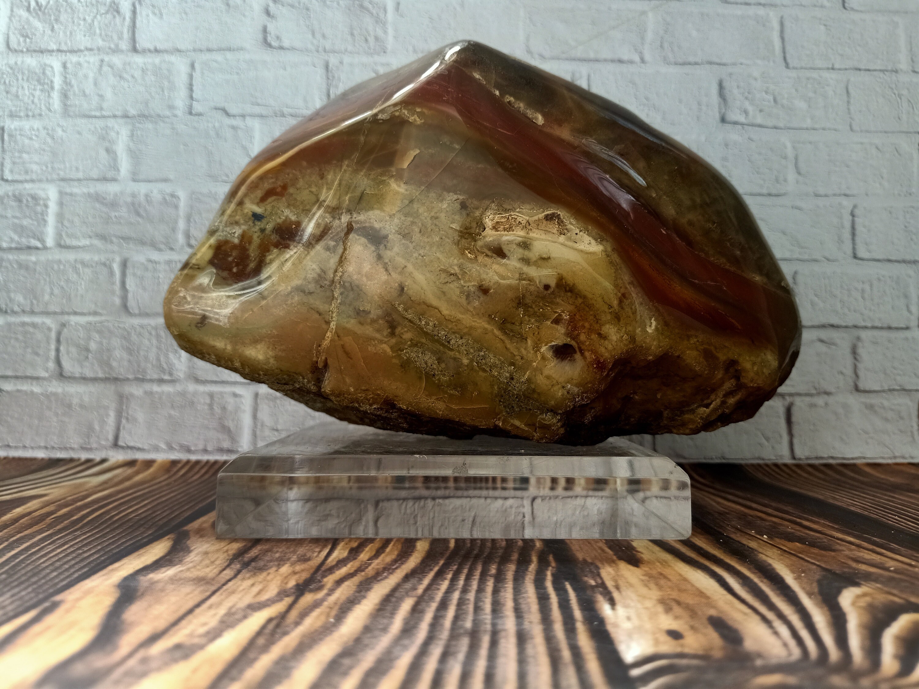 2,6 KG Indonesian Petrified Wood Etsy UK