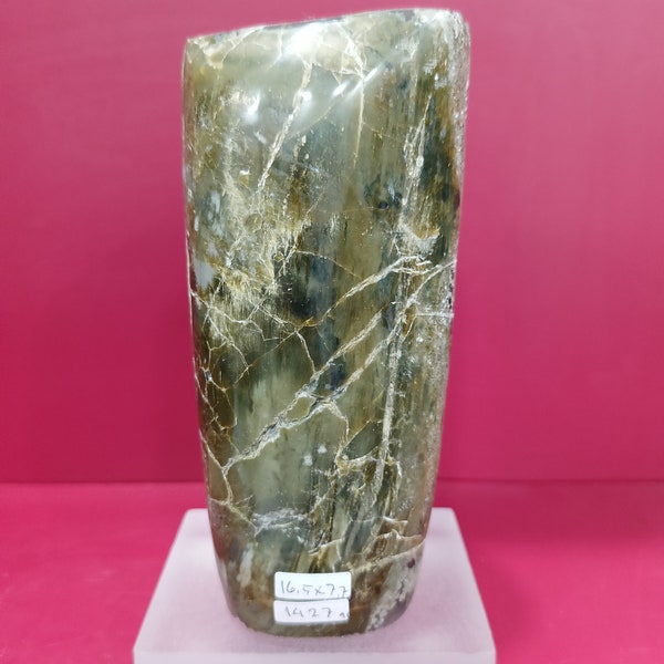 1427gr rare green petrified wood stool with agate crystal polished for collection and meditation
