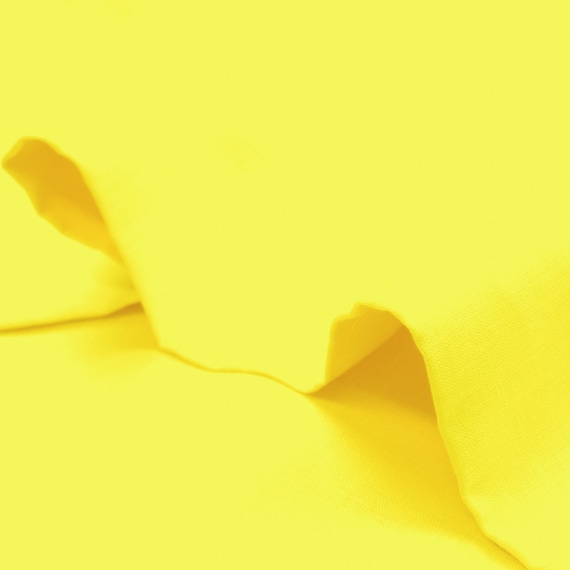 Lemon Pure Gentle {Acrylic Keychain} Lemon Pure Gentle {Acrylic Keychain}