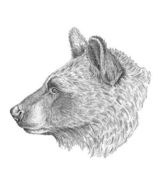 Abbit Artwork Bunny Art Rabbit Art Rabbit Wall Art Bunny Etsy UK