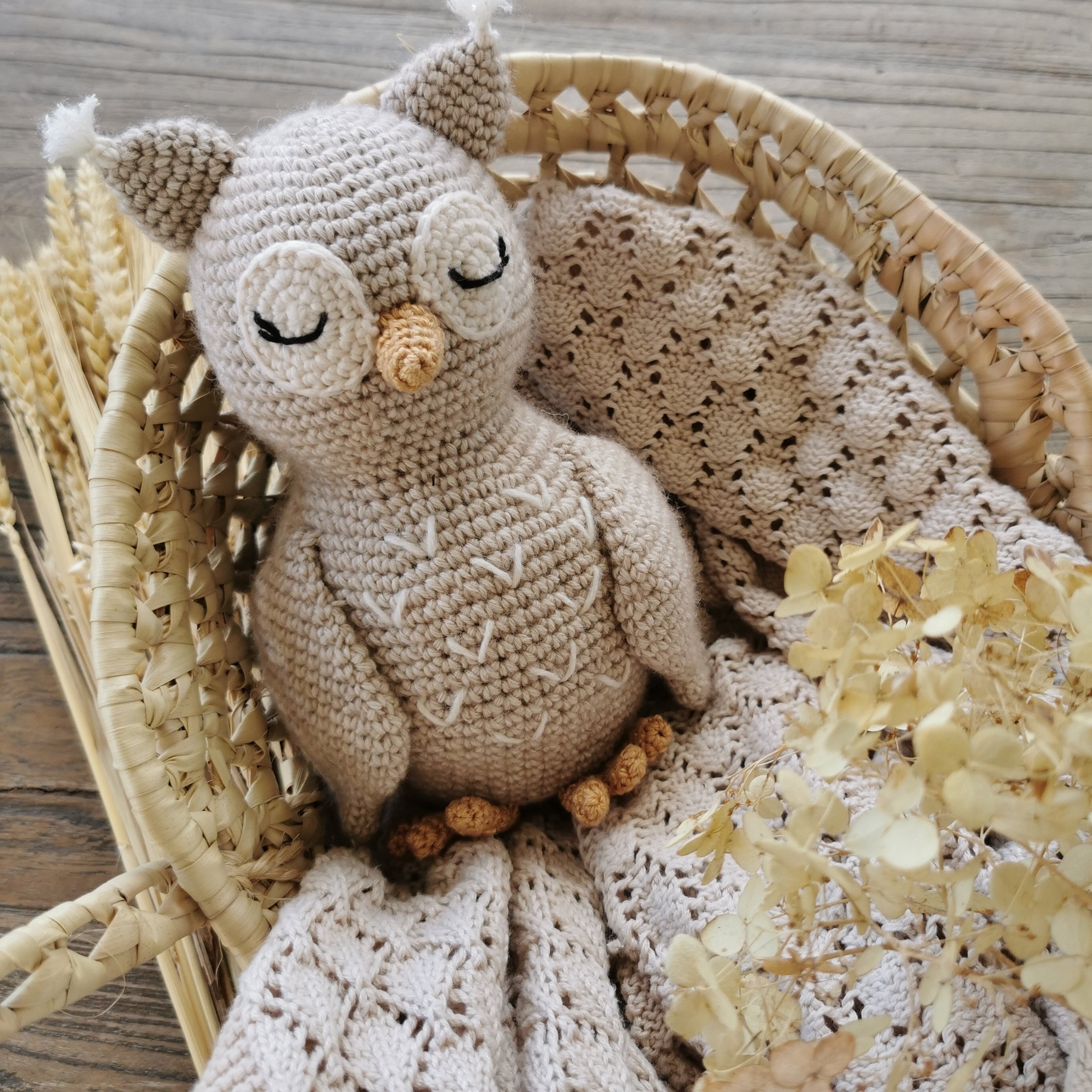 The Midnight Owl - Crochet Pattern PDF in English (US Terms) and French -  Etsy Norway, image size:2736x2736