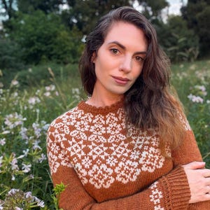 Peut inclure: Un pull à manches longues avec une base couleur rouille et un motif floral géométrique blanc sur l'empiècement et les poignets. Le vêtement présente une encolure ronde avec un bord texturé festonné et une coupe ajustée avec des poignets côtelés.
