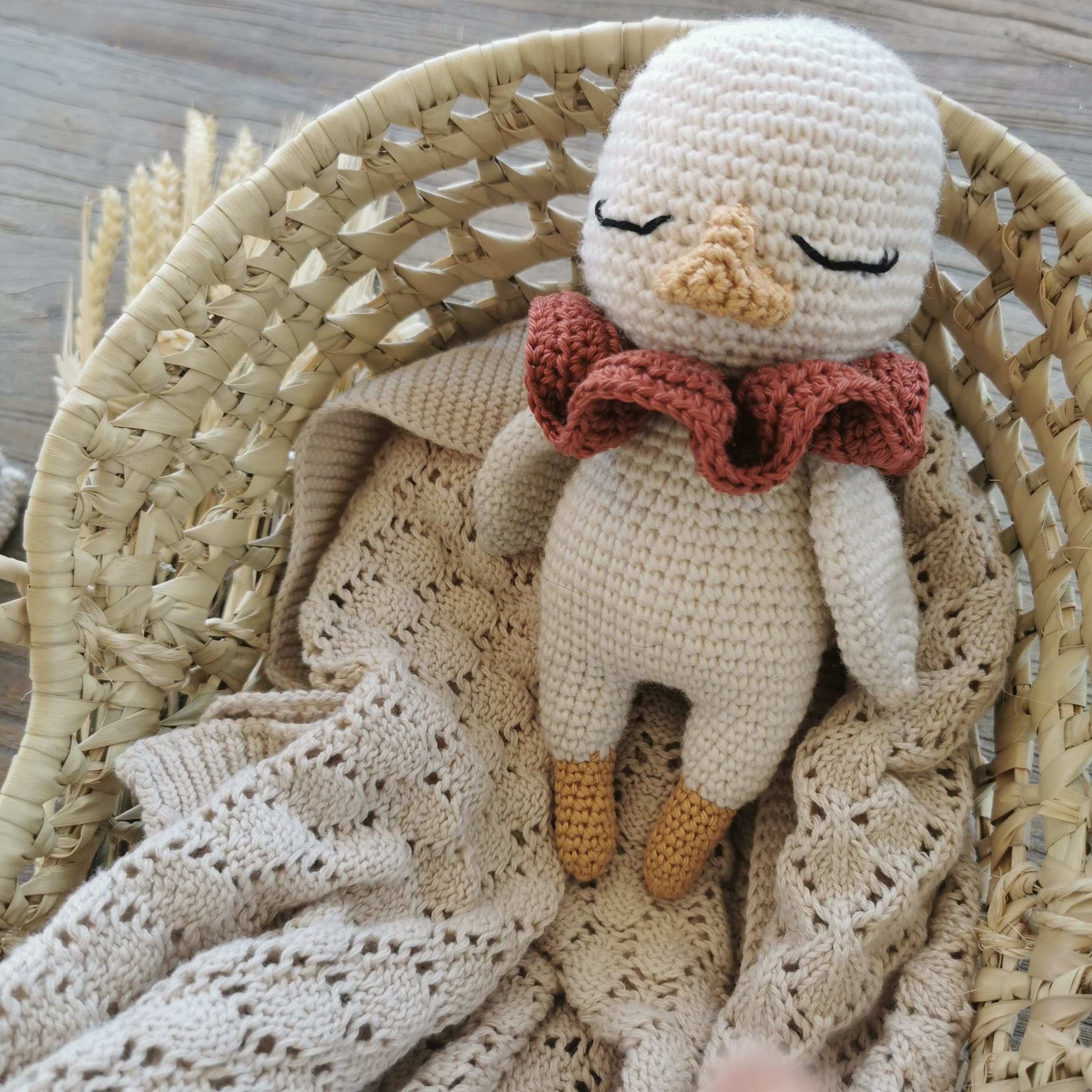 My Sweet Goose - Crochet Pattern PDF in English (US Terms) French - Etsy