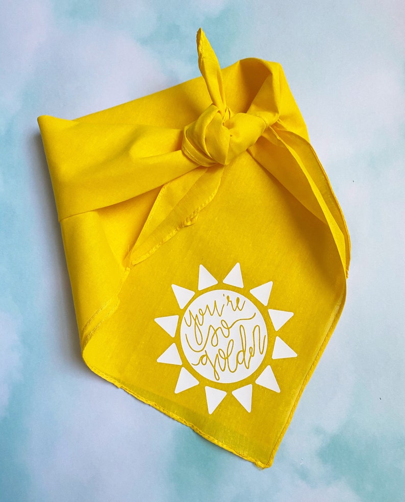 You\u2019re So Golden Dog Bandana Harry Styles Pet Accessory