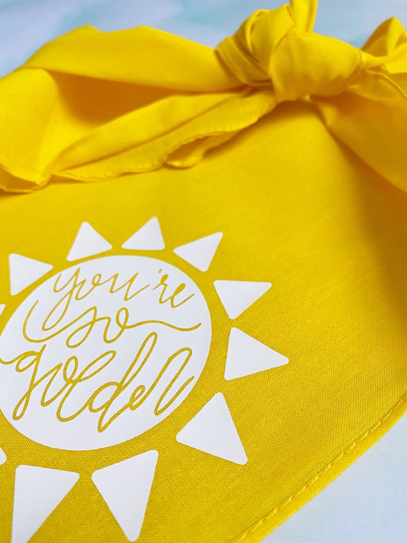 You\u2019re So Golden Dog Bandana Harry Styles Pet Accessory