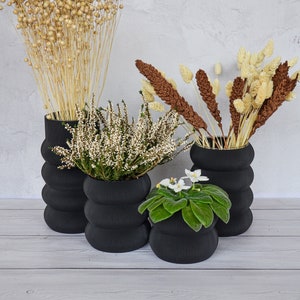 Modern Black Vase for Flowers - Gothic Noir Decor Succulent Dark Planter Set - Elegant Dark Plant Pot Bundle