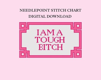 May include: A digital download needlepoint stitch chart with the text "I AM A TOUGH BITCH" in pink pixelated letters, set within a pink and gray decorative frame, on a light pink background.
