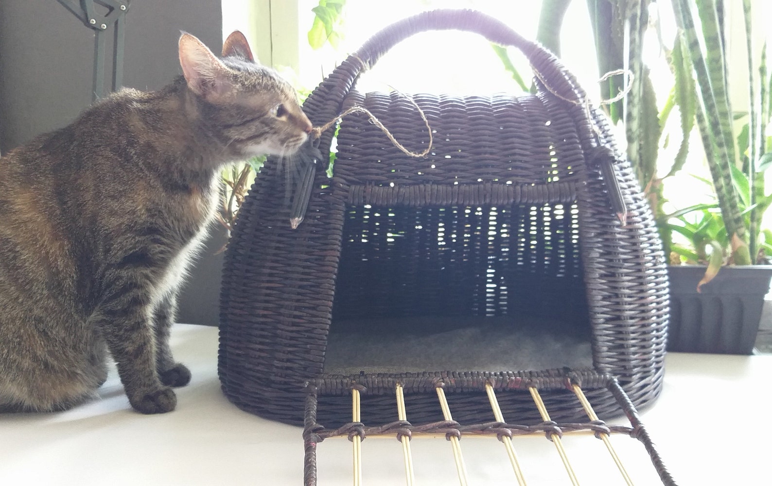 Wicker cat carrier. It can serve as a bed for your pet . The Etsy