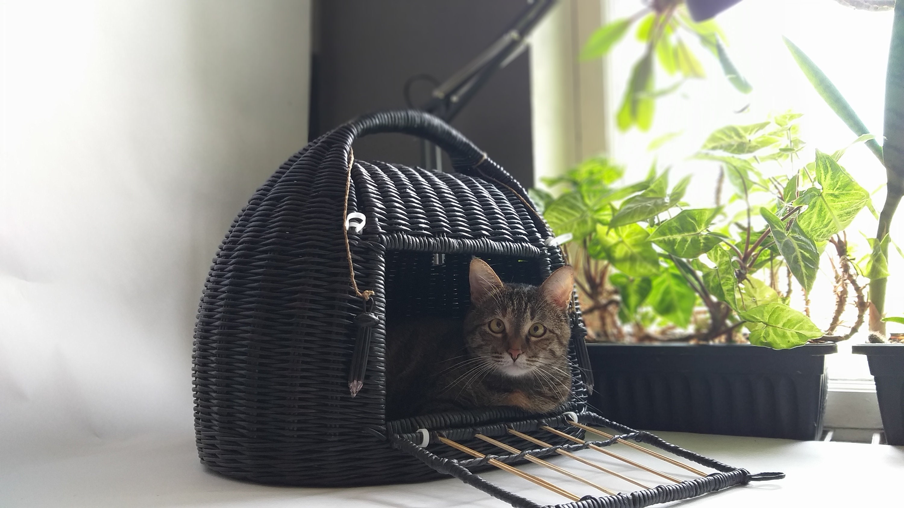 Pet carrier.Wicker pet carrier for cats.House for pet.Wicker Etsy