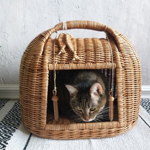 cane cat cave