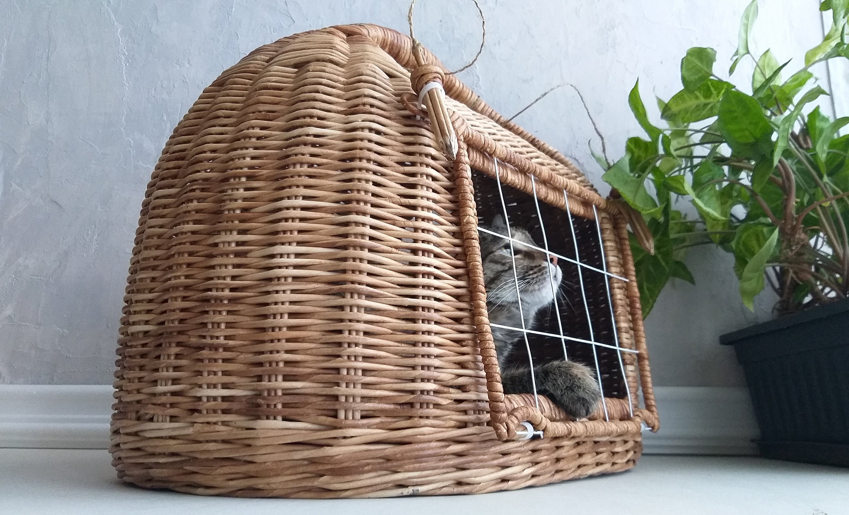 Cat carrier bed. Wicker pet basket. Etsy