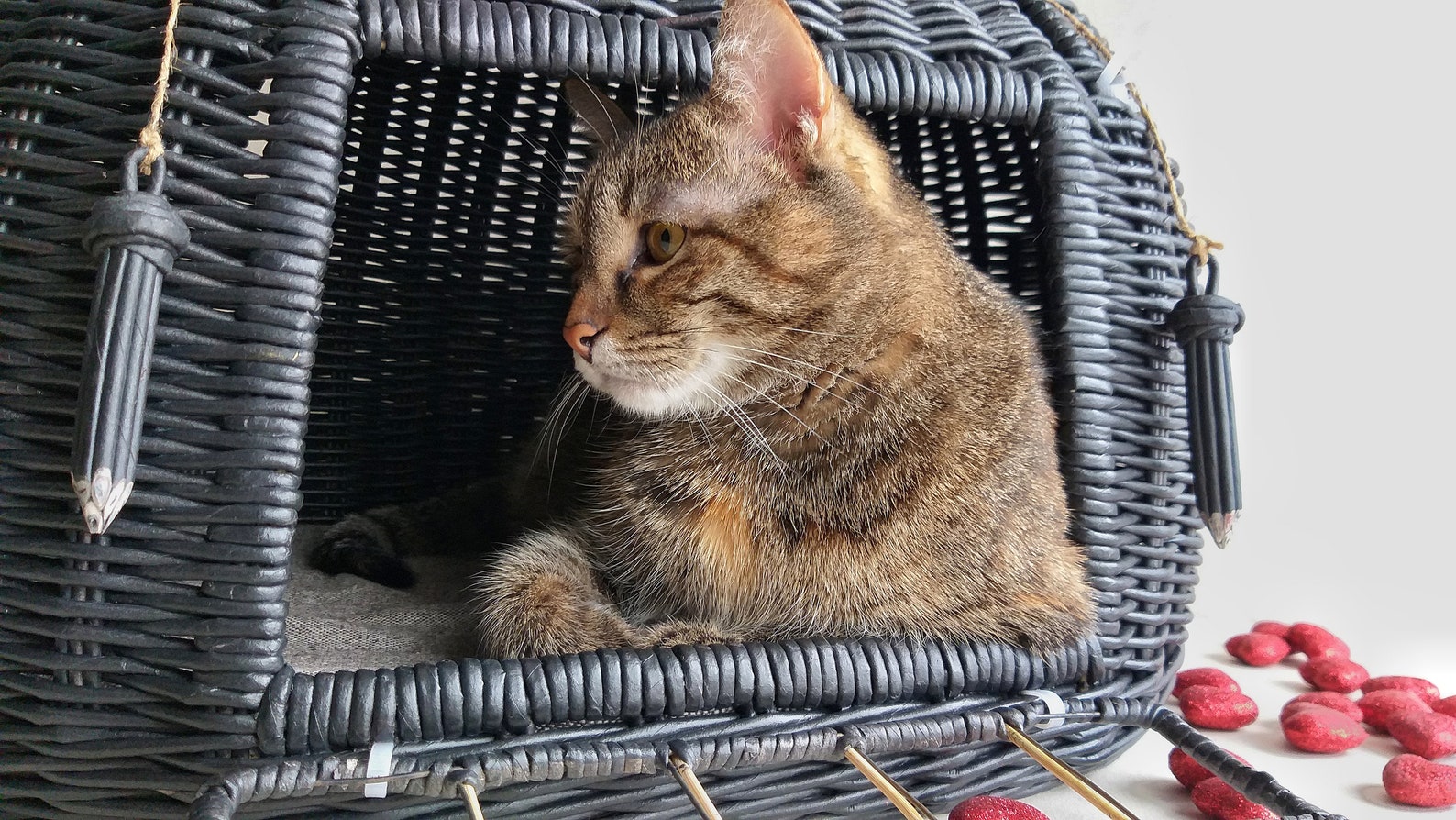 Wicker cat carrier. It can serve as a bed for your pet . The Etsy