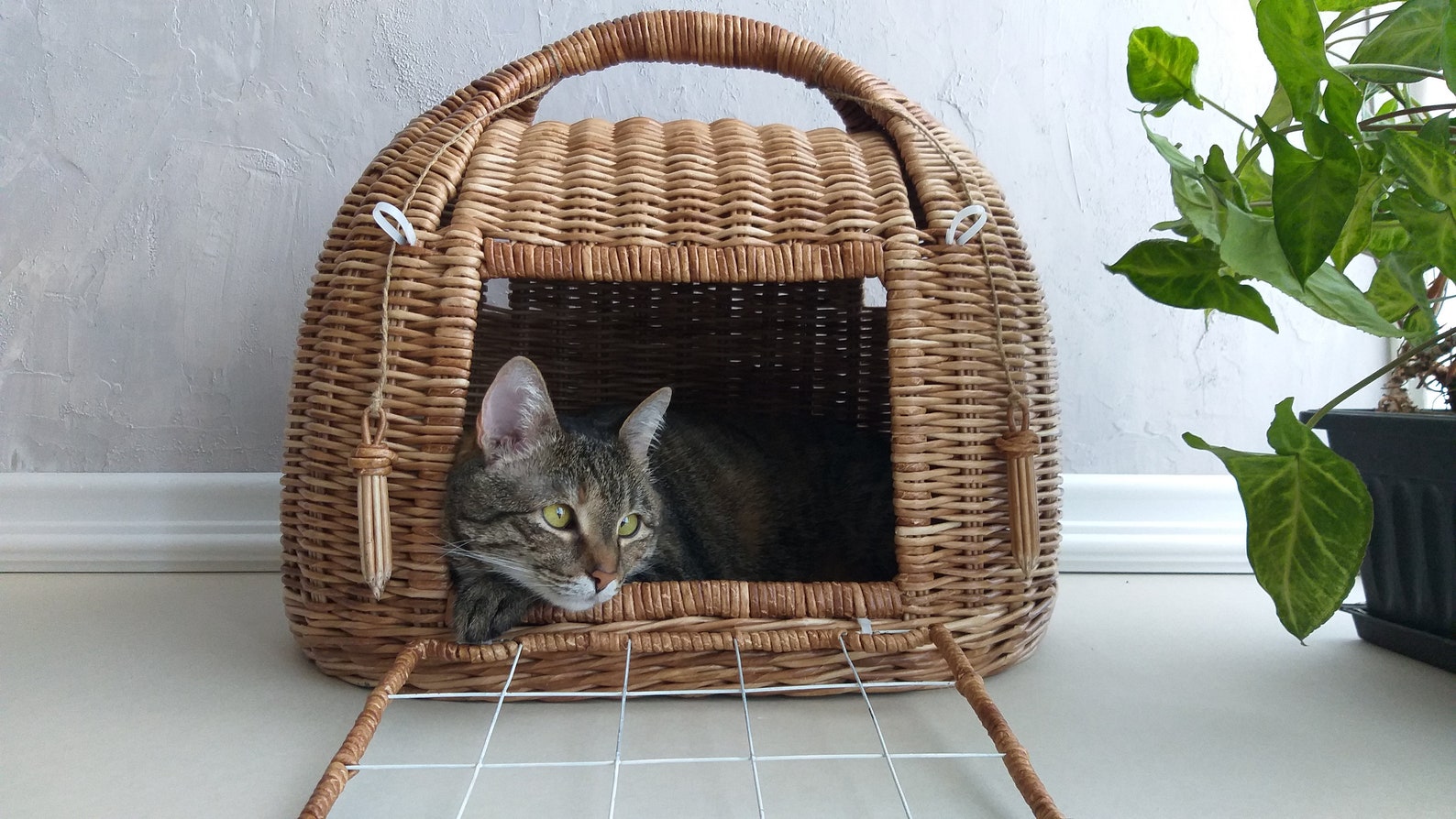 Cat carrier bed. Wicker pet basket. Etsy