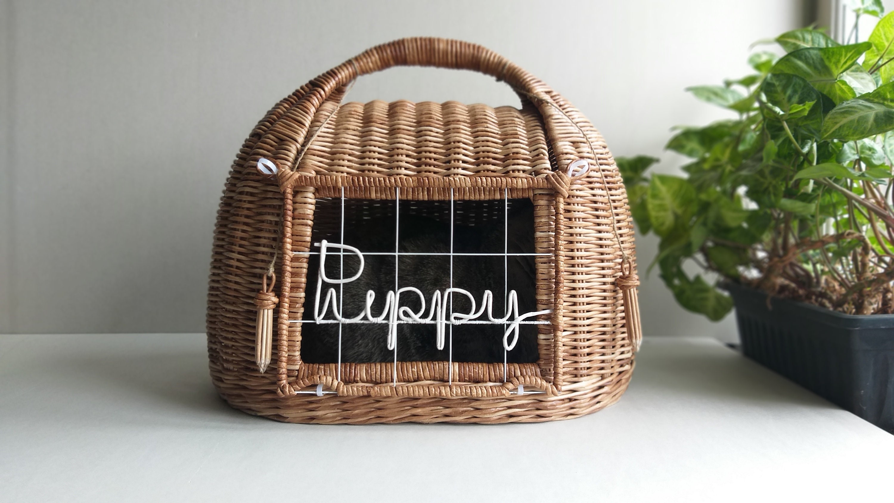 personalized cat carrier