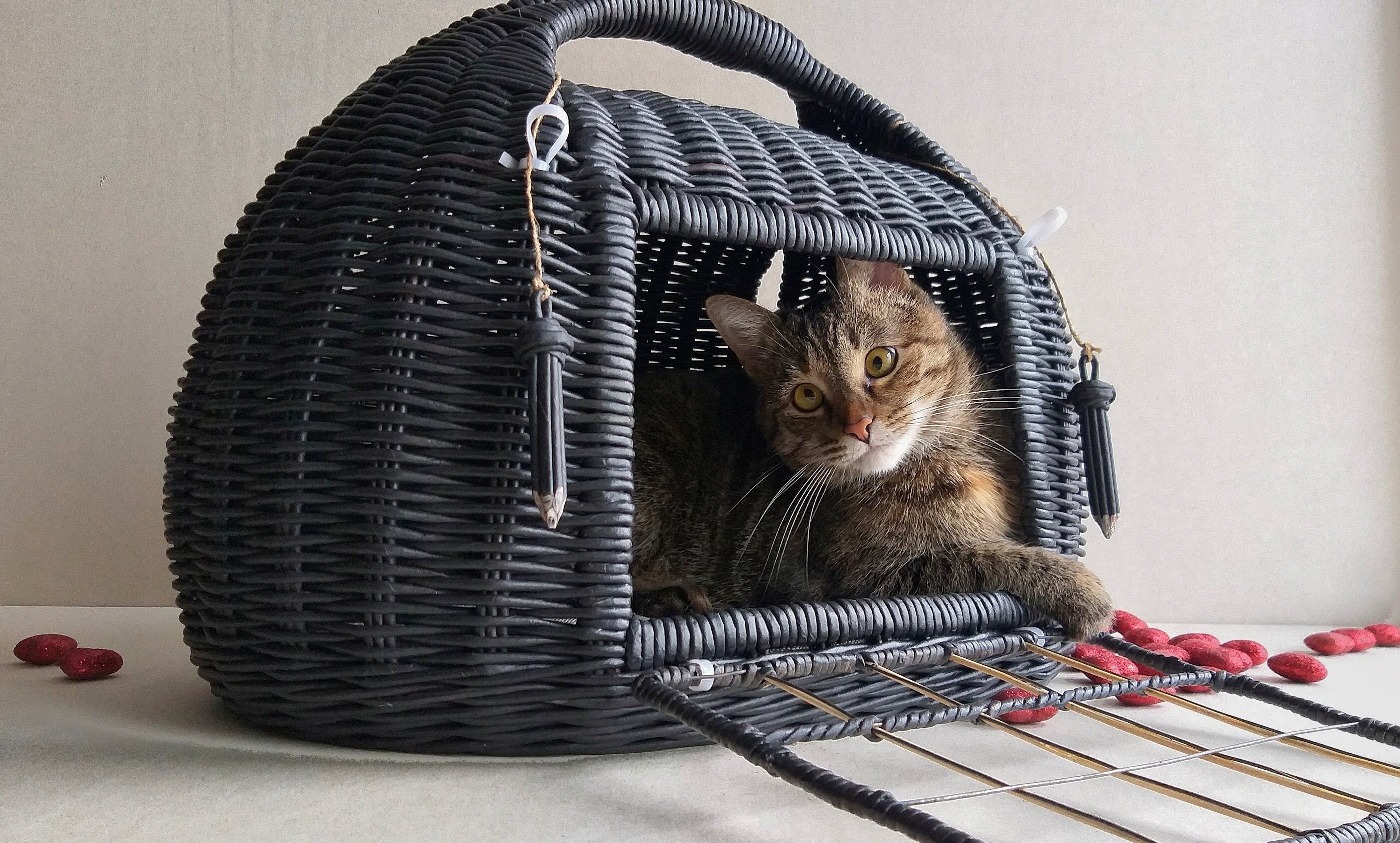 Wicker cat carrier. It can serve as a bed for your pet . The Etsy