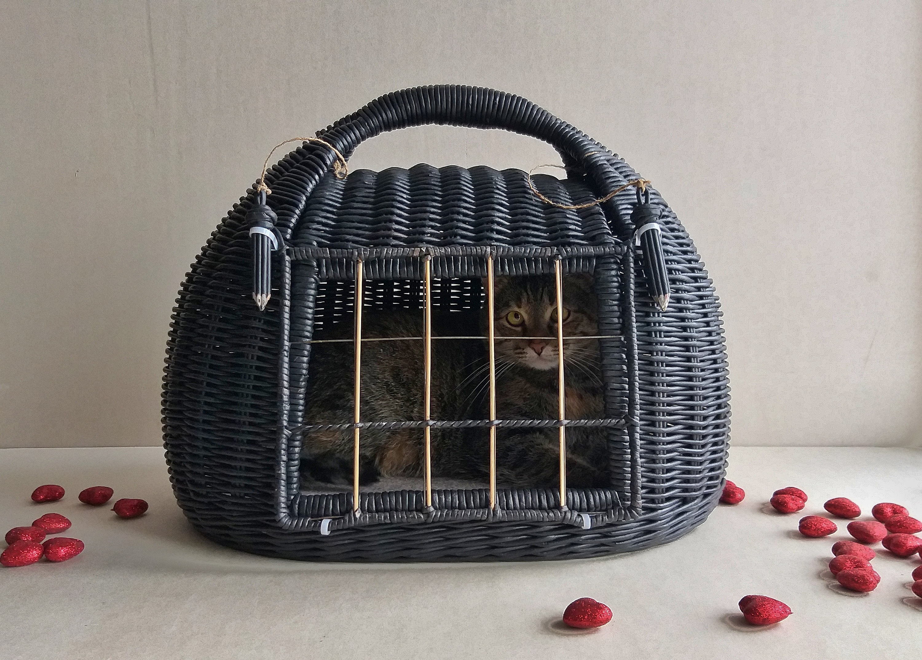 Wicker cat carrier. It can serve as a bed for your pet . The Etsy