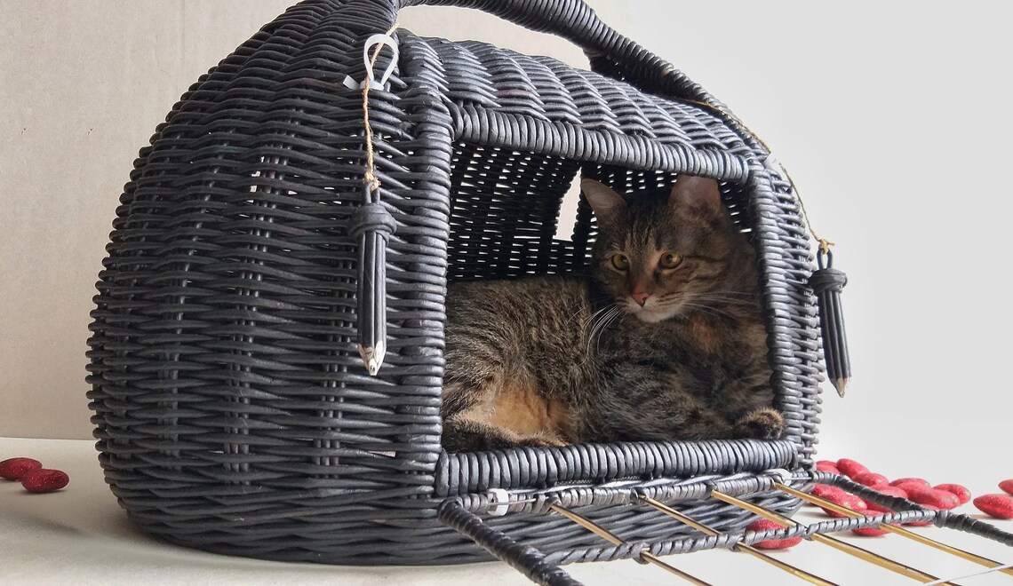 Wicker cat carrier. It can serve as a bed for your pet . The Etsy