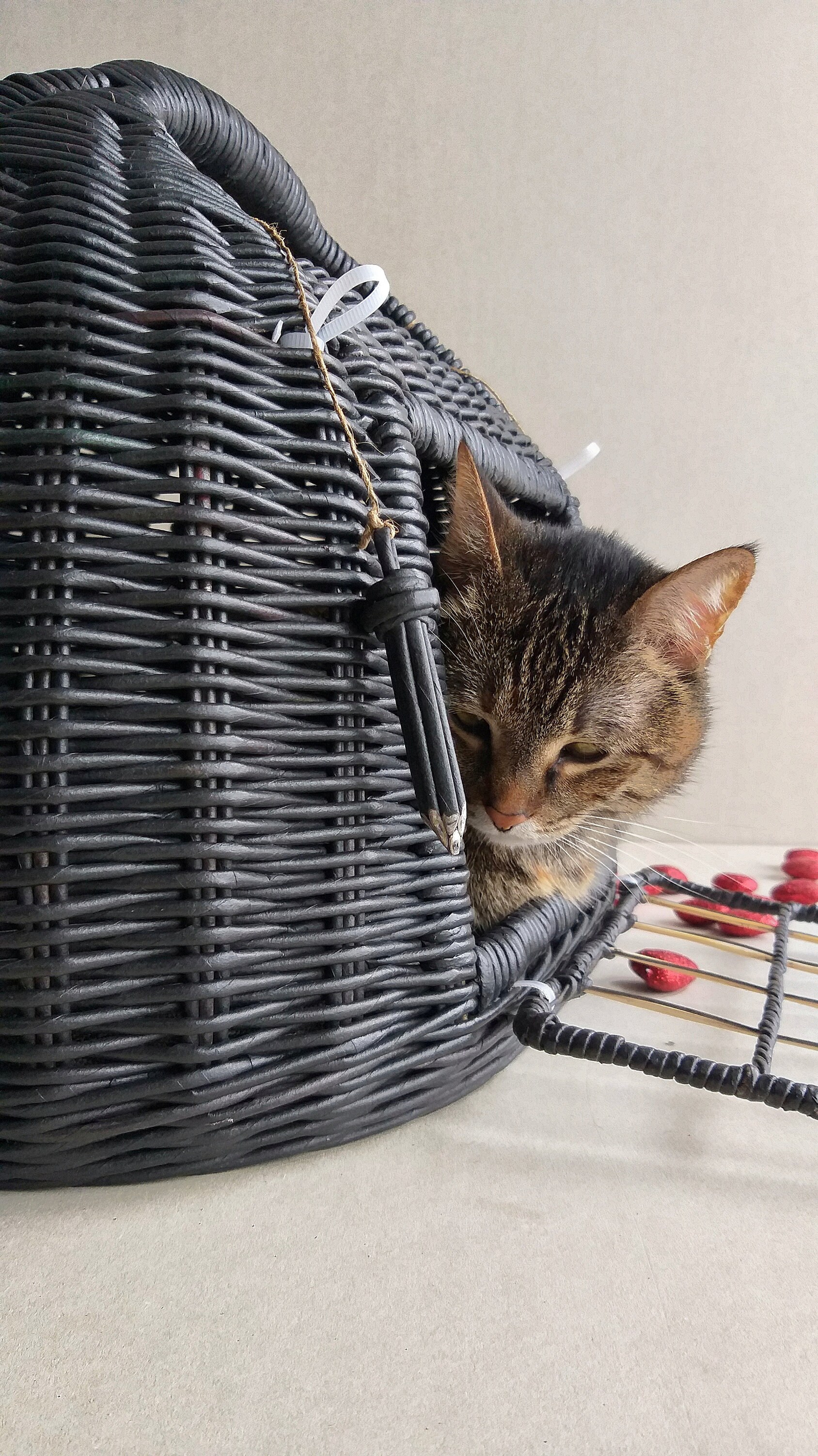 Wicker cat carrier. It can serve as a bed for your pet . The Etsy