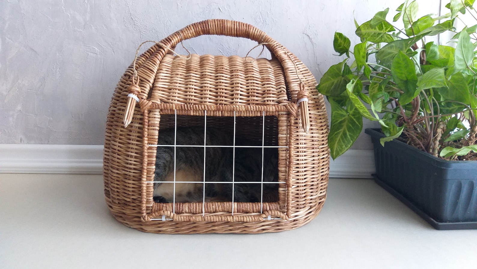 Cat carrier bed. Wicker pet basket. Etsy