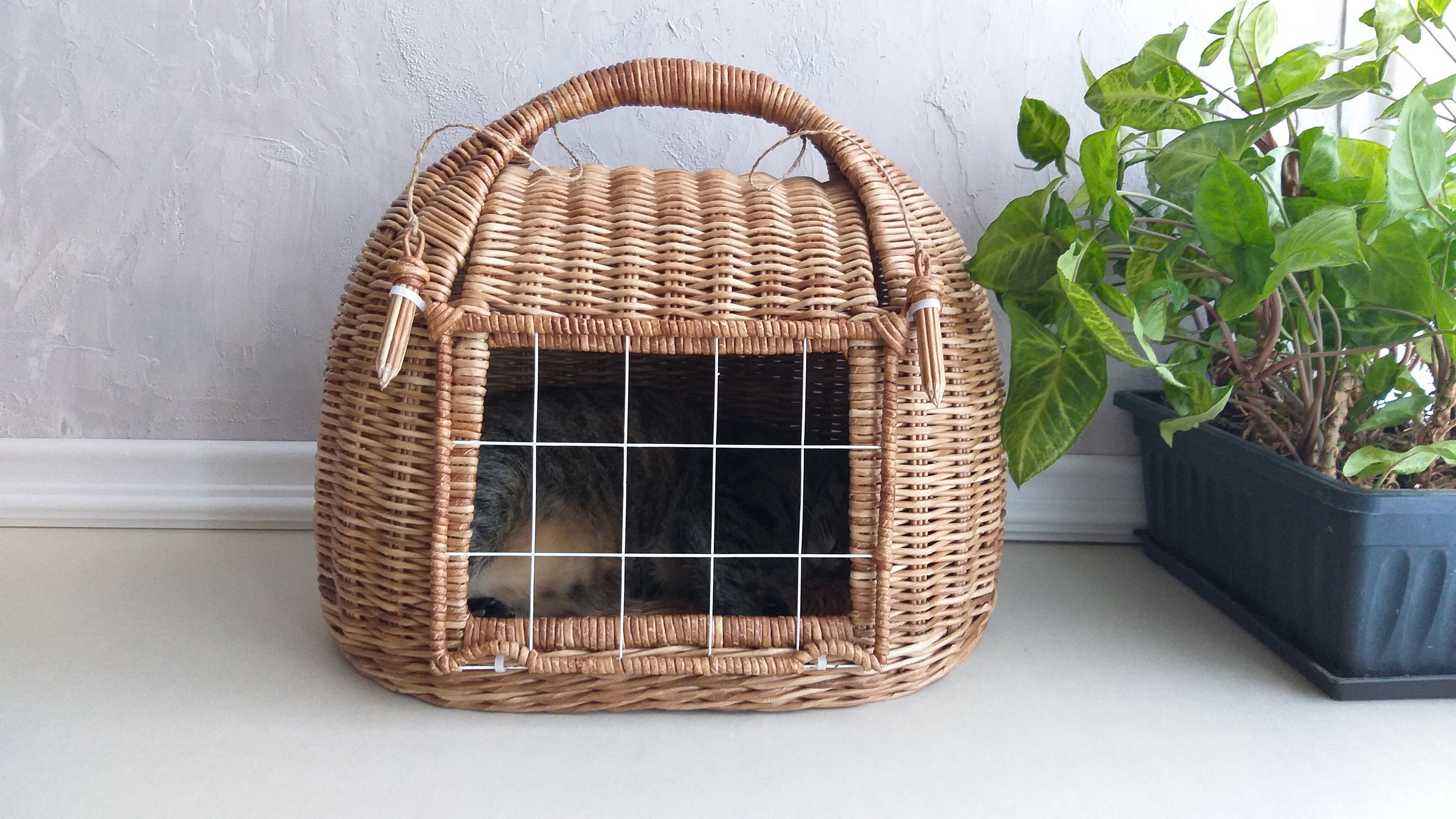 Large Cat Basket Carrier at Thurman Harper blog