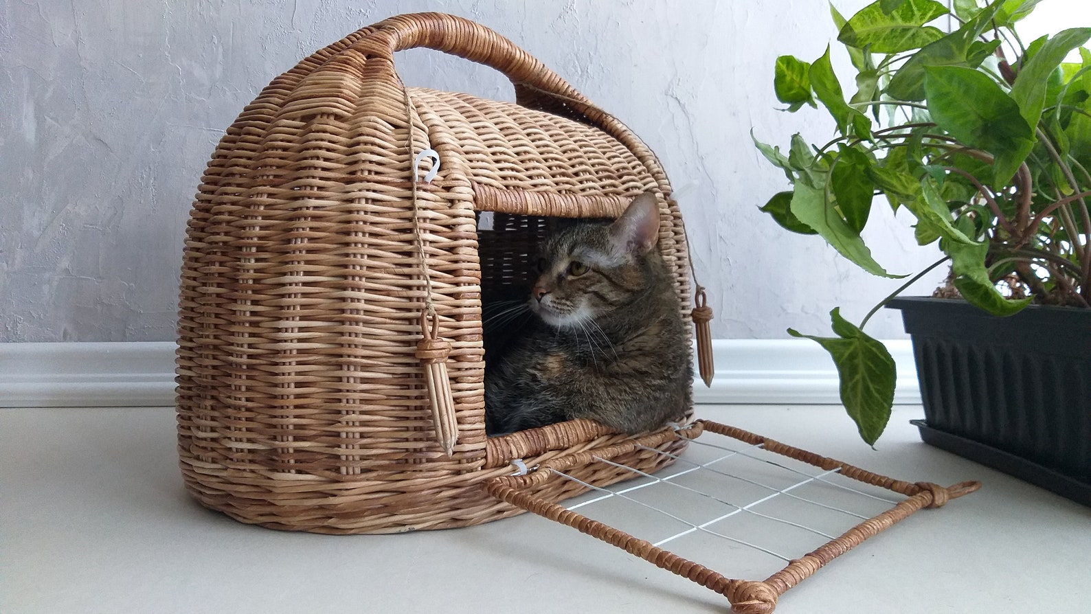 Cat carrier bed. Wicker pet basket. Etsy